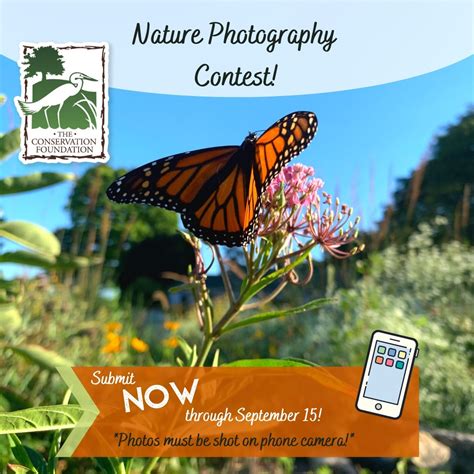 Nature Phone Photography Contest - The Conservation Foundation