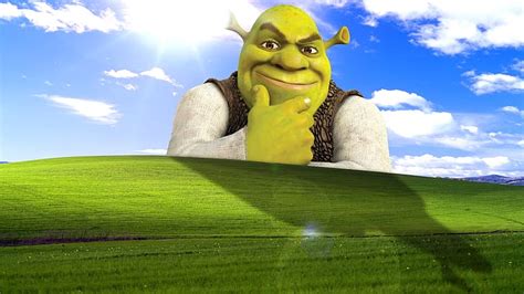 Shrek 1080P, 2K, 4K, 5K HD wallpapers free download | Wallpaper Flare