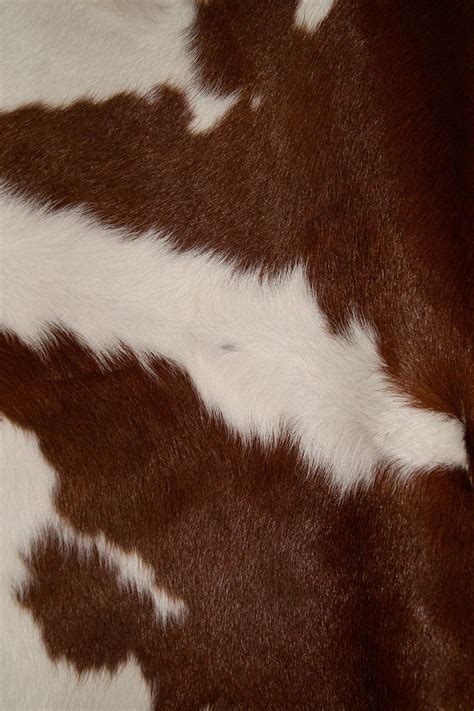 Cowhide Wallpapers - Wallpaper Cave