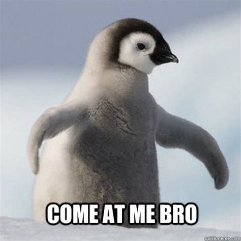 Come at me bro - Tough Penguin - quickmeme