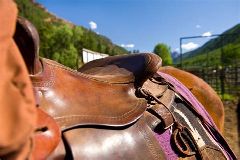 WICKED Info On The Different Western Saddle Parts - The Horses Guide