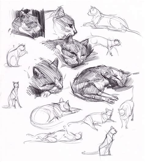 figuredrawing.info news: Sketchbook - cats!