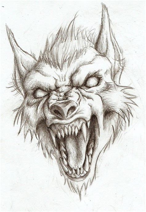 Ferocious werewolf by ArtisticDane Creepy Drawings, Skulls Drawing, Tattoo Art Drawings, Tatoo ...