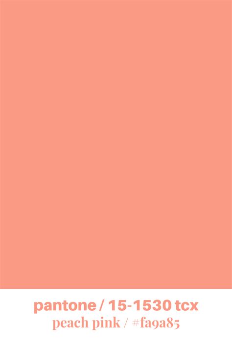 Peach Color Hex Code - Brazil Network