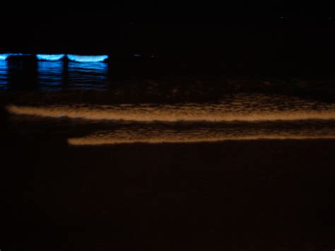 9 bioluminescent beaches around the world - Business Insider