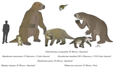 Ground Sloths 4 - Megatheriids by artbyjrc on DeviantArt | Ground sloth, Prehistoric animals ...