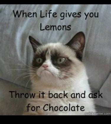 30 Sweet and Funny Chocolate Memes - SayingImages.com