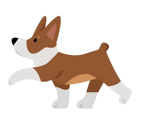 Premium Vector | Corgi dog breed