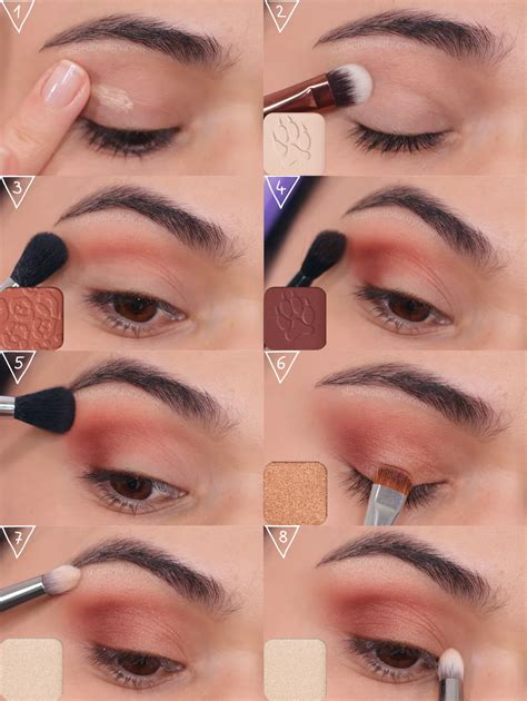 Step By Step Makeup Tutorials For Beginners | Saubhaya Makeup