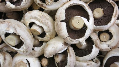 Free Images : table, white, food, cooking, ingredient, produce, fresh ...