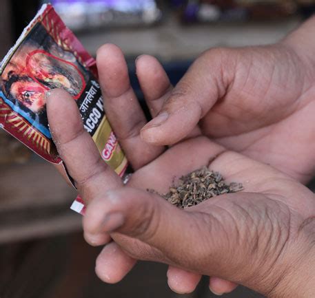 Gutkha ban has reduced consumption of tobacco in India: WHO