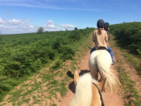 Horse riding in the Mendip Hills | Cosy Life