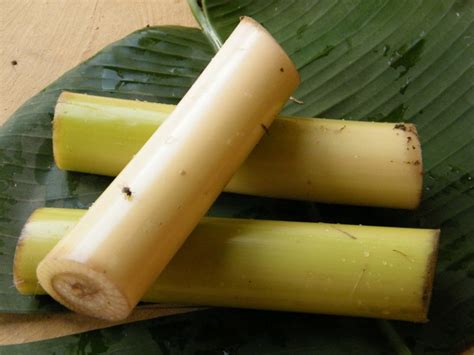 Banana Stem Fights Diabetes and Cancer and Reduces Inflammation | Top Natural Remedies