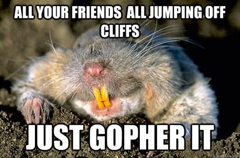 Just gopher it memes | quickmeme