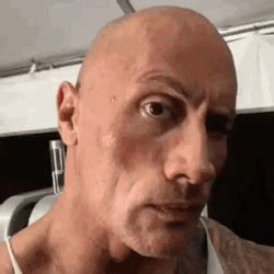 The Rock Eyebrow Gif