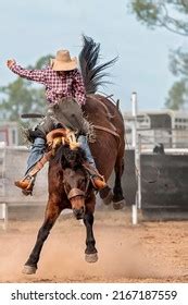 Saddle Bronc Riding Royalty-Free Images, Stock Photos & Pictures | Shutterstock