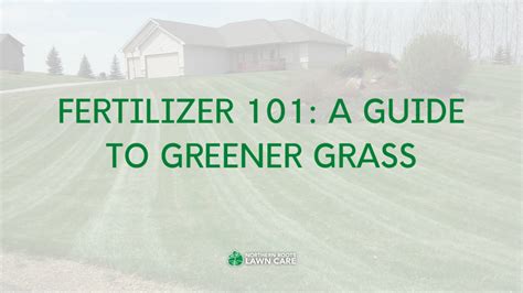 Fertilizer 101: A Guide to Green Grass - Northern Roots Lawn Care