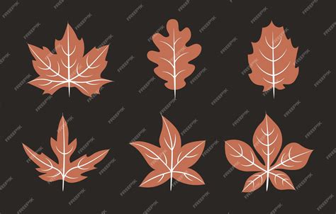 Premium Vector | Set of vector brown leaves with white details