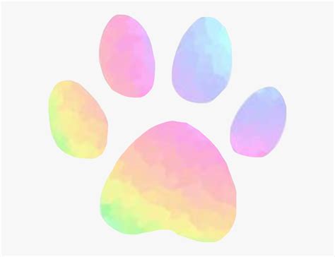 Download High Quality paw prints clip art rainbow Transparent PNG Images - Art Prim clip arts 2019