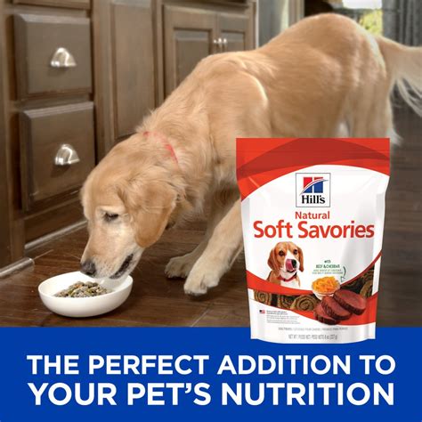 Hill's Science Diet Soft Savories Beef & Cheddar Dog Treats | PetFlow