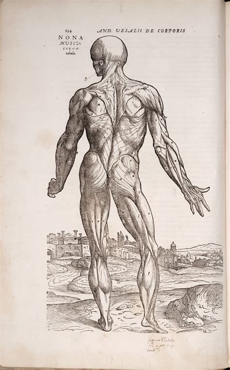 Thomas Fisher Rare Book Library Andreas Vesalius’s De humani corporis ...