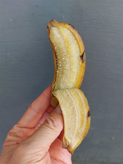 Close-up of boiled banana, a simple traditional Indonesian dish used as a snack. Food with many ...