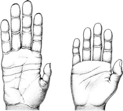 Anthro Aspect: Analogy and Homology Comparison