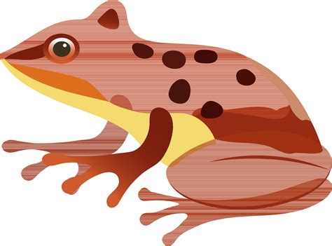 Orange Frog Icon In Flat Style. 24502360 Vector Art at Vecteezy