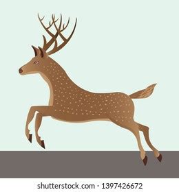 Jumping Deer Detailed Drawing Animal Vector Stock Vector (Royalty Free) 2082739132 | Shutterstock