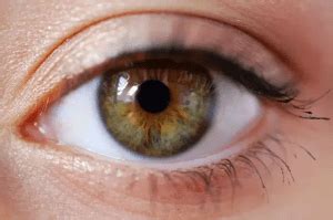 Why are hazel eyes so frequent in Rh(D) negative individuals? – The Rh Negative Blog