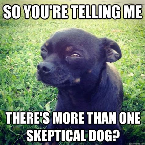 Skeptical Dog memes | quickmeme