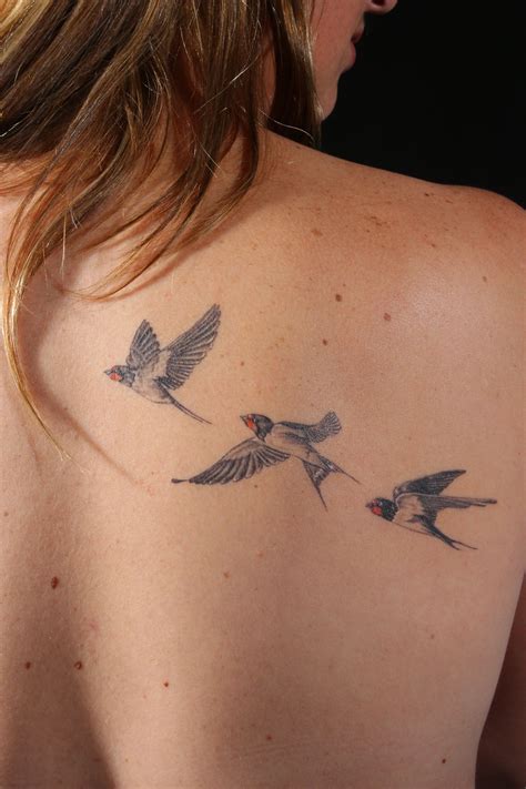 Barn Swallow Tattoo Designs | Wallpaper Mix