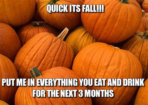 12 Fall Memes That Will Get You Ready For Your Favorite Season