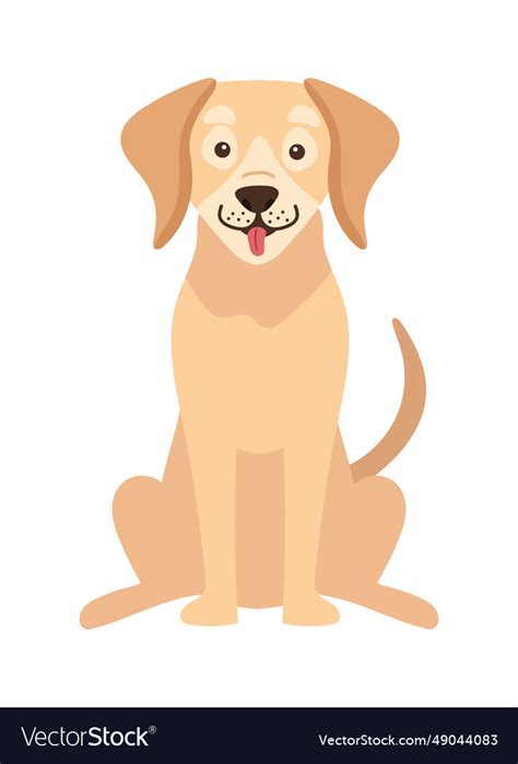 Dog labrador retriever Royalty Free Vector Image