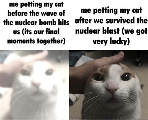 Me Petting My Cat Template And Meme Are Getting Viral On Internet ...