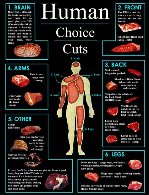 Human Cuts of Meat (Infographic) | Pleated Jeans