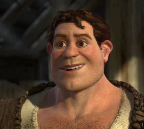 Is Human Shrek in Shrek 2 actually Handsome? : r/NoStupidQuestions