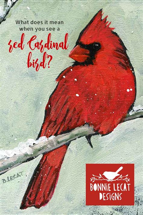 Cardinal Bird Meaning / Since cardinal is a resident bird, it is around for all twelve years ...