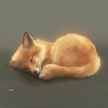 Sleeping Fox GIFs - Get the best GIF on GIPHY