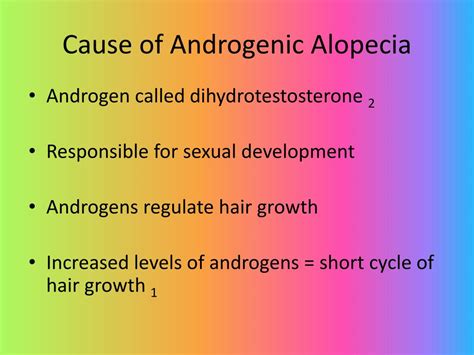 PPT - Androgenic Alopecia PowerPoint Presentation, free download - ID:2343479