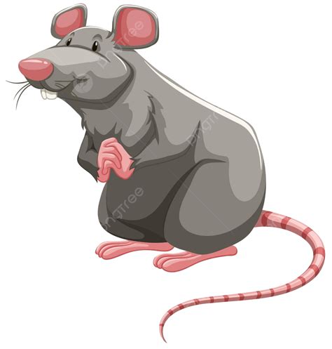 Grey Rat Alone Picture Design Vector, Alone, Picture, Design PNG and ...