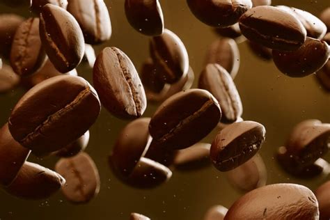 Top 5 Arabica Coffee Brands In 2022: The Ultimate Guide