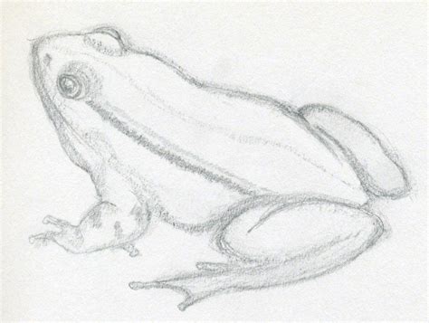 Free Frog Drawing, Download Free Frog Drawing png images, Free ClipArts ...