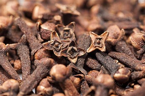 Top 10 Health Benefits of Cloves and Medical Uses – Wealth Result