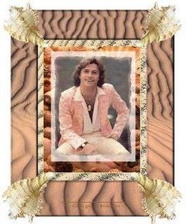 Andy Gibb Angel: ANDY GIBB BIOGRAPHY