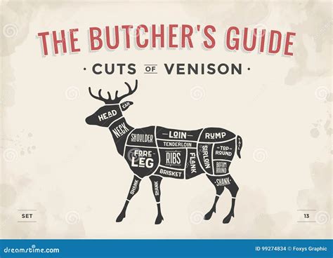 Venison Cuts Of Meat Diagram - Drivenheisenberg