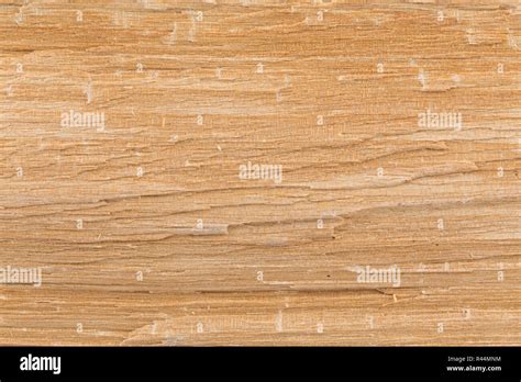 Birch wood texture Stock Photo - Alamy