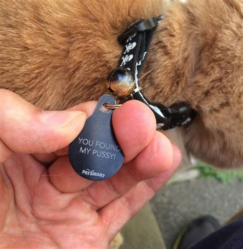 44 Hilarious Collar Tags For Pets Who Tend To Get Lost | Bored Panda