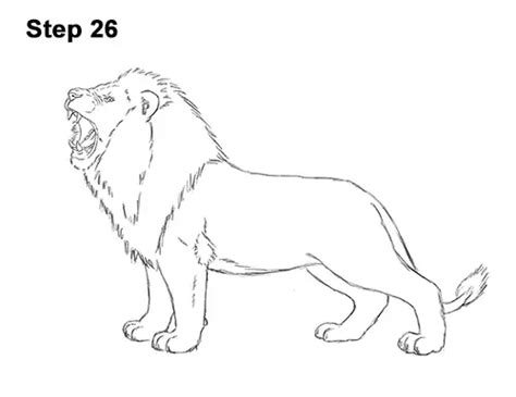 How to Draw a Lion Roaring (Color) VIDEO & Step-by-Step Pictures