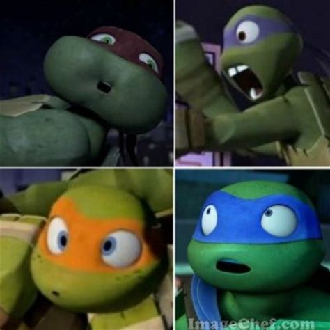 17 Best images about Funny Tmnt pics on Pinterest | Leatherhead, Shells ...